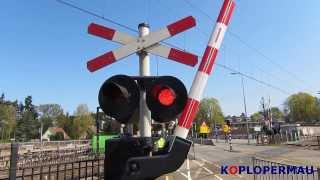 Dutch intercity at railroad crossing [upl. by Gilbertson680]