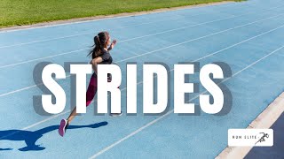 Just How Effective are Strides to Make You Faster [upl. by Mosira]