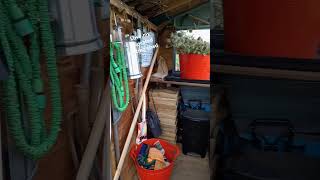 Following the relocation of my potting shed in early September tidy time talesfrommypottingshed [upl. by Vaas]