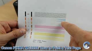 Canon Pixma MG3550 How to Print a Nozzle Check Test Page [upl. by Courtenay535]