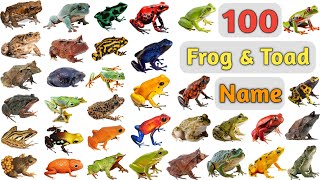 Frog amp Toad Vocabulary ll 100 Frog amp Toads Name In English With Pictures ll Type of Frogs amp Toads [upl. by Bili]