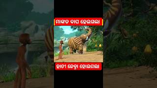 ହାତୀରୁ ଜେବ୍ରା ବନିଗଲାcartoonfactsgapaodiagapastorystoriesodiastorymoralstoriescomedyshorts [upl. by Axia]