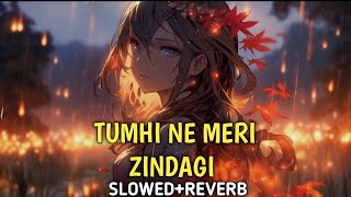 tumhi ne meri zindagi kharab ki hai Slowed Reverb Song  naseeb song [upl. by Spence]