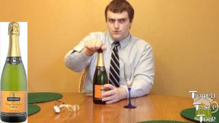 Berberana Gran Tradicion Brut Cava Spanish Sparkling Wine Review Catalonia Spain [upl. by Okwu]