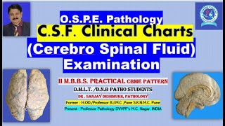 Pathology Practical CSF CHARTS Interpretation OSPE CBME pattern DrSanjay Deshmukh MD [upl. by Eiramasil]