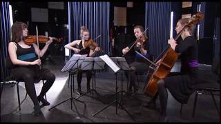 Nightingale String Quartet Carl Nielsen String Quartet op 13 [upl. by Lyssa]