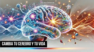 Plasticidad Neuronal La Ciencia que Cambia Tu Cerebro y Tu Vida [upl. by Teryl769]