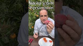 How do I eat a Persimmon fruit Theres 3 ways politely sorta politely and inthegarden style [upl. by Eiloj934]