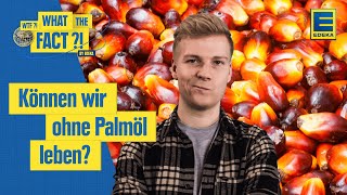 Palmölverbrauch  Welche Auswirkungen hat Palmöl auf die Umwelt [upl. by Notsle]