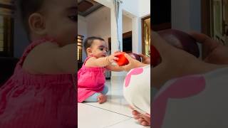 6 Month Baby Identifying Fruits 🍎 🍉 🥝🍑🍌🍏baby babymoments babydevelopment 6monthsbaby [upl. by Morse]