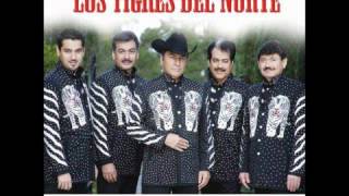 Al Mil Por Uno  Los Tigres Del Norte [upl. by Silva19]