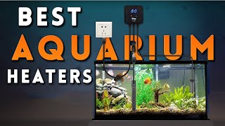 Best Aquarium Heaters 2024 Top 3 Fish Tank Heaters [upl. by Clemens]