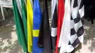 Racing Flags Explained [upl. by Florette]