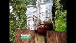 Wasp Traps in action very easy to make cut top of bottle remove lid and invert [upl. by Anaz]