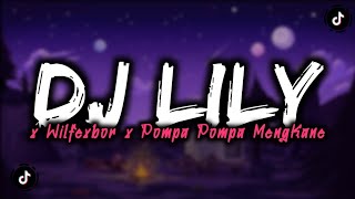 DJ LILY X WILFEXBOR X POMPA POMPA MENGKANE [upl. by Pega]