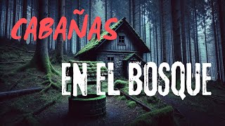 HISTORIAS DE TERROR REALES EN CABAÑAS DEL BOSQUE PARA ANTES DE DORMIR [upl. by Rolat]