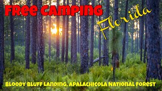 Free Camping Bloody Bluff Landing Apalachicola FL Campground Review [upl. by Cioffred598]