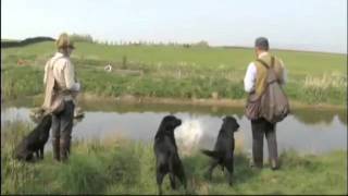 Countrywise  Brocklebank Labradors  John Halsted [upl. by Bates]