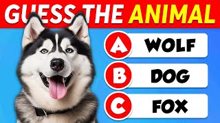 Guess 60 ANIMALS 🐶🐱 EASY to IMPOSSIBLE 🧠🤯 [upl. by Ylloj]