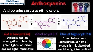 B9 Anthocyanins HL [upl. by Xineohp]