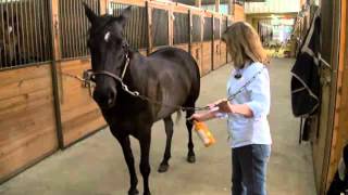 Absorbine Veterinary Liniment  Treat Lameness In Horses [upl. by Nifares]