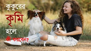 কুকুরের কৃমি হলে কী করবেন What to do if the dog has worms [upl. by Forras]