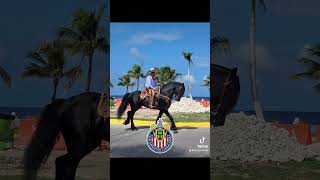 chivas fypyoutubeshort arribalaschivas 🐐❤️🤍 [upl. by Radloff]