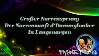 20012019 Großer Narrensprung in Langenargen [upl. by Ecela774]