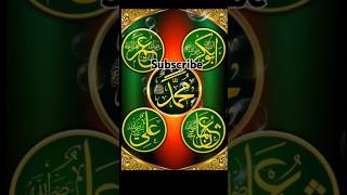 Mola haidar haidar viralvideo shortviralshort youtubeshort islamicprayer haidaraliinterview [upl. by Retla]