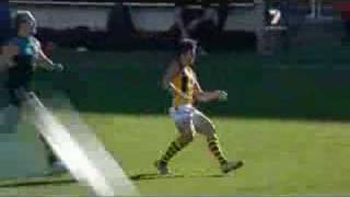 Hawthorn vs Port Adelaide  Round 10 AFL 2007  Part 2 [upl. by Illyes38]