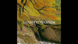 Autumn revolution  Zvoochok  music  reupload [upl. by Raji]