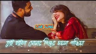 Tui Hoila Sonar Pinjar Mayana Pakhiya  তুই হইলা সোনার পিঞ্জর ময়না পাখিয়া  Love Lofi Song 2023 [upl. by Atter306]