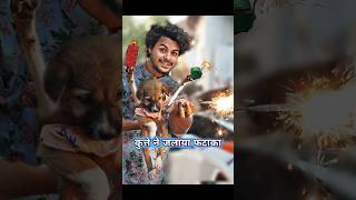 कुत्ते🐶मे मनाया Happy🎆Diwali  comedy diwalicomedy [upl. by Loren151]