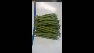 Redpack NTS top seal flow wrapping Dwarf Beans amp Asparagus [upl. by Atiluap]