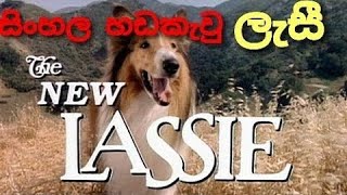 ලැසී සිංහල හඩකැවු 7  LASSIE SINHALA DUB e7 1989 [upl. by Robaina]