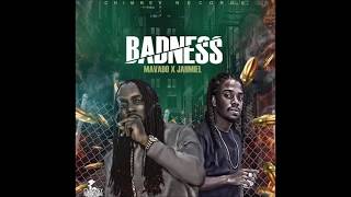 Badness Lyrics [upl. by Alhsa]