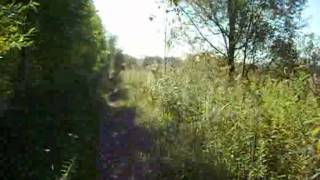 Biking in Ottawa  On a Greenbelt Pathway [upl. by Anatole696]