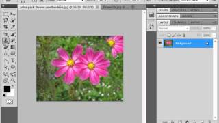 Photoshop CS5 Tutorial The Clone Stamp Tool Adobe Training Lesson 1415 [upl. by Shiller]