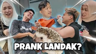 PRANK PEGANG LANDAK  TERKEJUT BERUK BILA TAHU [upl. by Nnyre]