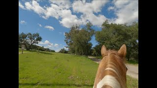 First Trail Ride in CA [upl. by Nhguavaj494]