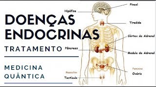 52 DOENÇAS ENDOCRINAS Tratamento com Frequência de Rife Medicina Quântica canal Fonte de Vida [upl. by Yul]