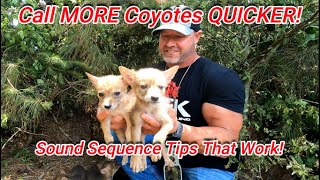 Call More Coyotes Quicker Sound Sequence Tips That Work All About Coyotes and Coyote Hunting [upl. by Hough273]