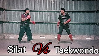 Sparring silat vs Taekwondo [upl. by Sadella463]