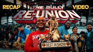 The Bully ReUnion Bully Show Recap Video 2023  TOP SHELF EXOTICS [upl. by Oiralednac]