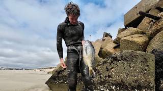 Catch amp Cook at the Harbour Wall  Port Elizabeths Longest ShoreDive [upl. by Airun79]