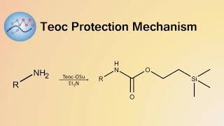 Teoc Group Protection Mechanism  Organic Chemistry [upl. by Carlick497]