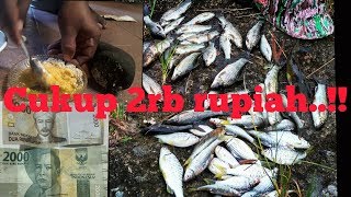 CUMA 2RIBU BISA BIKIN UMPAN JITU MANCING DI SUNGAI DIJAMIN AMPUH [upl. by Dlareg137]