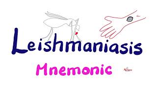 Leishmania Mnemonic Leishmaniasis Protozoa Female Sandfly Vector  Mnemonics Playlist [upl. by Ierbua]