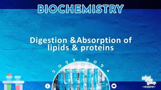 L6  Digestion and absorption of lipids and proteins  Biochemistry [upl. by Kacerek]