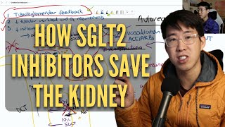 SGLT2 Inhibitors Dapagliflozin empagliflozin  Type 2 Diabetes revision video [upl. by Mathian]